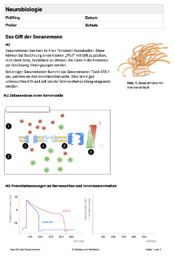 Neurobiologie - Das Gift der Seeanemone