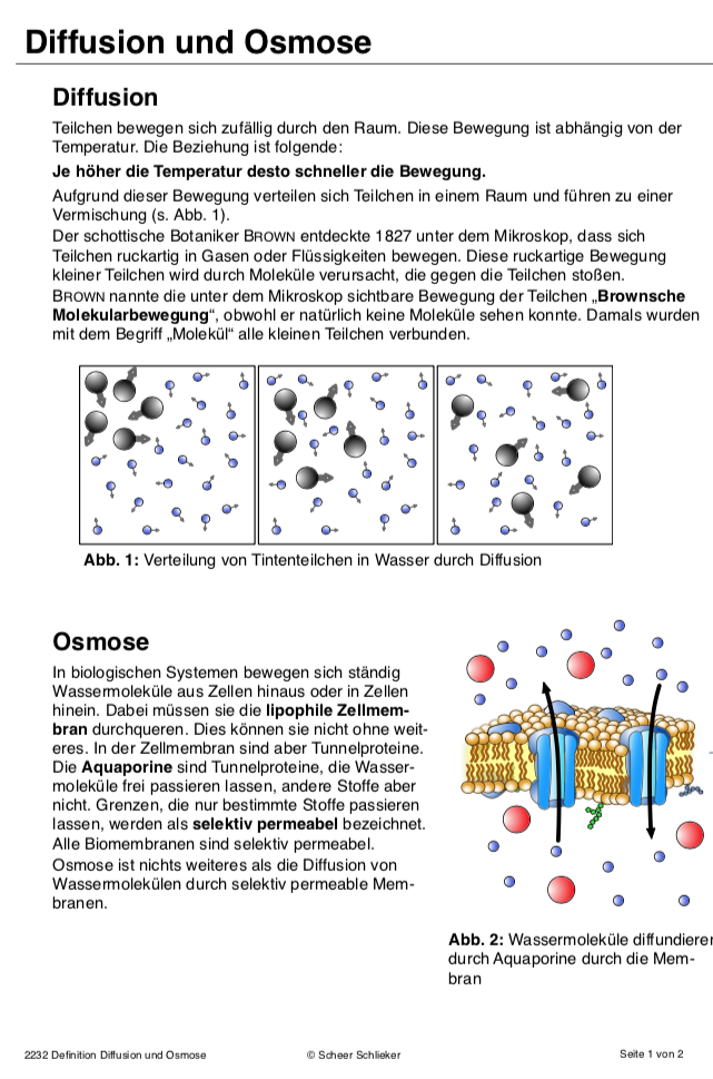Diffusion und Osmose (170 MB)
