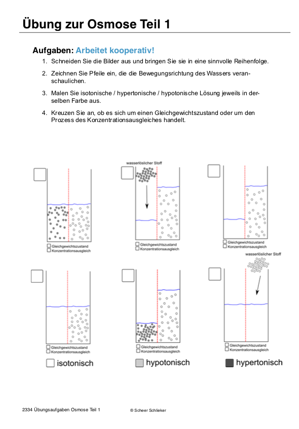 Diffusion und Osmose (170 MB)