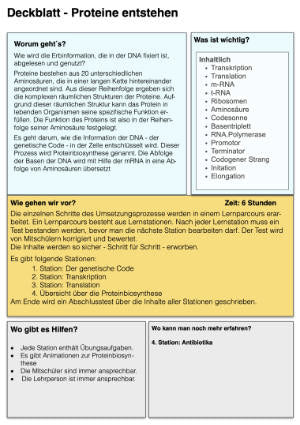 Proteinbiosynthese - ein Lernparcours (Einzellizenz) 93 MB