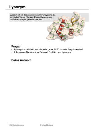Enzyme - Proteine in Aktion - komplett (Einzellizenz)