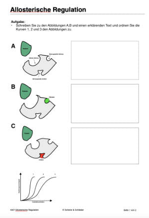Enzyme - Proteine in Aktion - komplett (Einzellizenz)