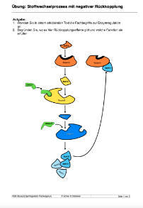 Enzyme - Proteine in Aktion - komplett (Einzellizenz)