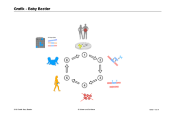 Der "Baby-Bastler" - CRISPR/Cas-Prozess am Menschen (74 MB)