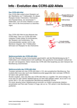 Der "Baby-Bastler" - CRISPR/Cas-Prozess am Menschen (74 MB)