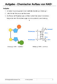 Glykolyse (122 MB)