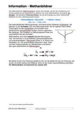Prokaryoten (Einzellizenz) 77MB