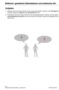 Stammbaum des Menschen (165 MB)