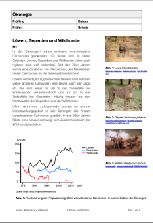 Ökologie - Löwen, Geparden und Wildhunde