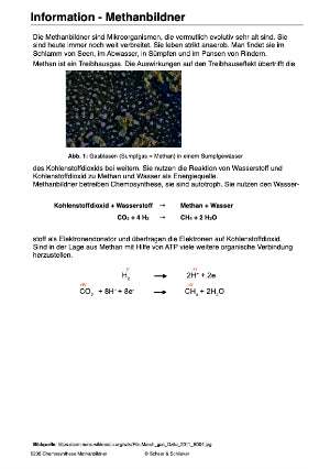 Chemosynthese (188 MB)
