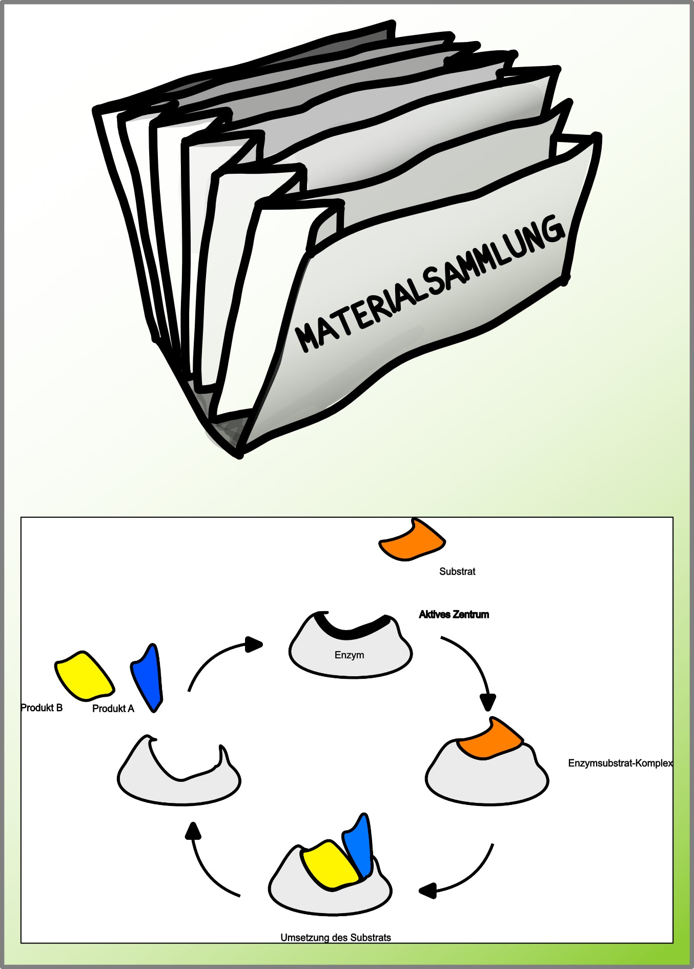 Enzyme - Proteine in Aktion - komplett (Einzellizenz)