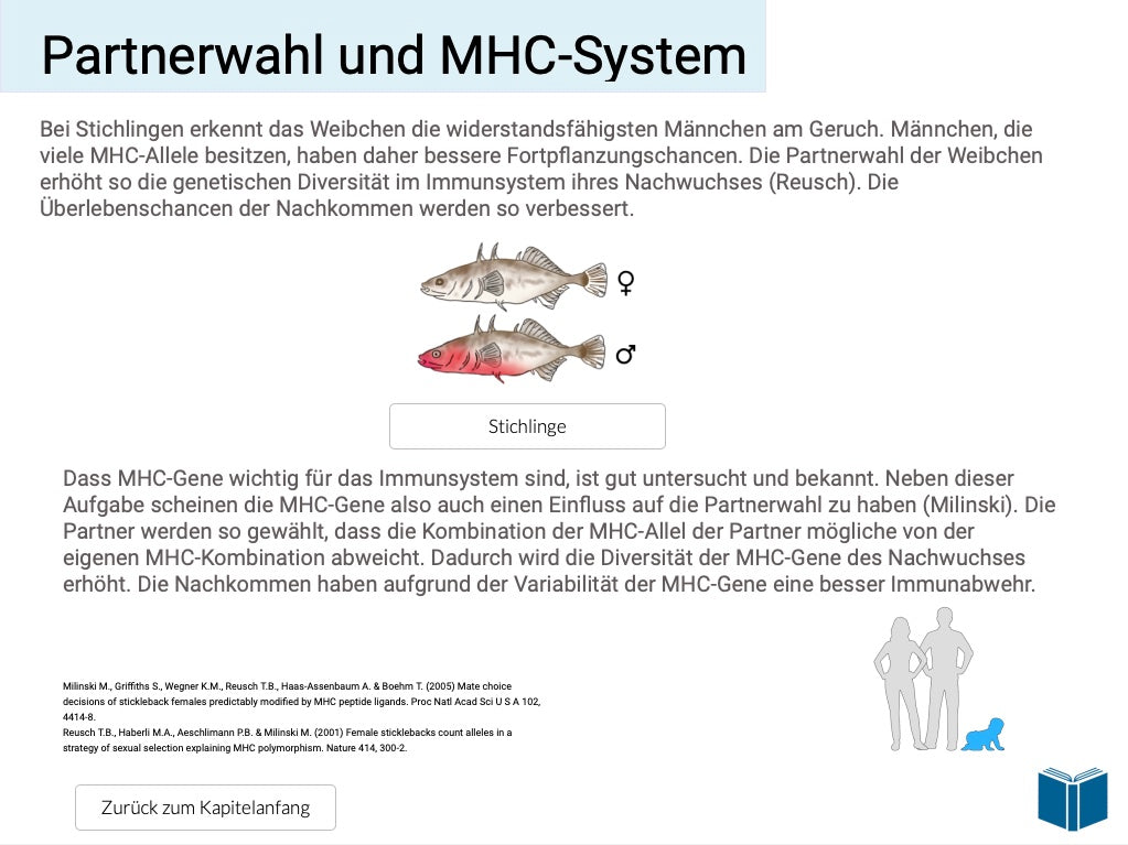 Evolution des Menschen (18 MB) - Schullizenz