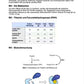 Die Beri-Beri Krankheit -Enzyme