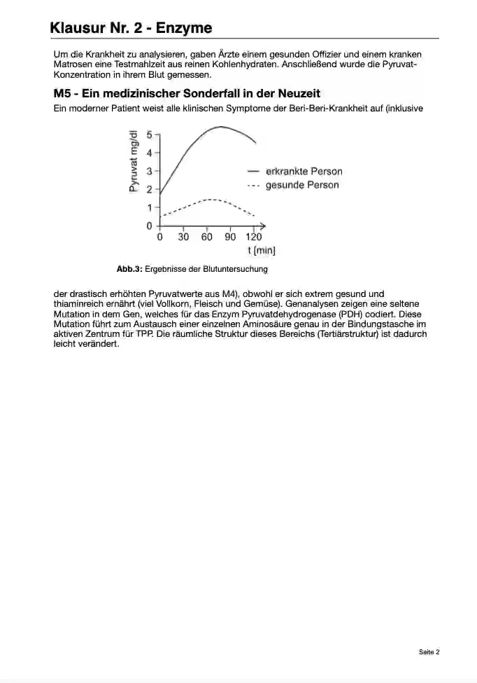 Die Beri-Beri Krankheit -Enzyme
