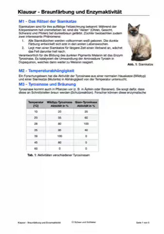 Braunfärbung der Siamkatzen - Enzymaktivität