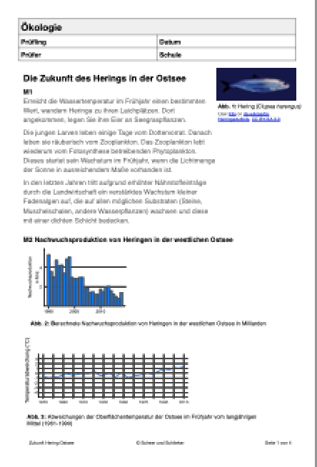 Ökologie - Zukunft der Heringe in der Ostsee