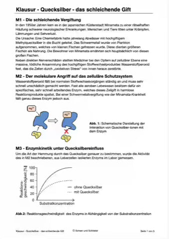 Quecksilber - das schleichende Gift - Enzyme