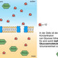 Diffusion und Osmose (170 MB)