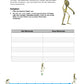 Evolution des Menschen: Jahrgang 7 - 10 (123 MB)