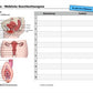 Sexualität Jahrgang 5 und 6 (142 MB)