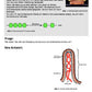 Diffusion und Osmose (170 MB)