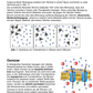 Diffusion und Osmose (170 MB)