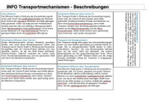 Biomembranen komplett (Einzellizenz)