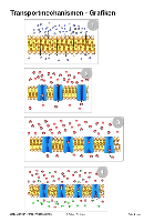 Biomembranen komplett (Einzellizenz)