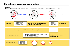 Biomembranen komplett (Einzellizenz)