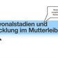 Sexualität Jahrgang 7 - 10 (343 MB)