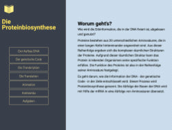 *Ebook Proteinbiosynthese (15 MB) - Schullizenz