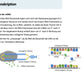 *Ebook Proteinbiosynthese (15 MB) - Schullizenz