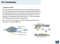 *Ebook Proteinbiosynthese (15 MB) - Schullizenz