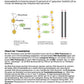 Proteinbiosynthese - ein Lernparcours (Einzellizenz) 93 MB