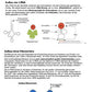 Proteinbiosynthese - ein Lernparcours (Einzellizenz) 93 MB