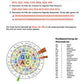 Proteinbiosynthese - ein Lernparcours (Einzellizenz) 93 MB