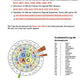 Proteinbiosynthese - ein Lernparcours (Einzellizenz) 93 MB
