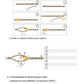 Proteinbiosynthese - ein Lernparcours (Einzellizenz) 93 MB