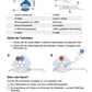 Proteinbiosynthese - ein Lernparcours (Einzellizenz) 93 MB