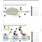Proteinbiosynthese - ein Lernparcours (Einzellizenz) 93 MB