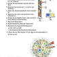Proteinbiosynthese - ein Lernparcours (Einzellizenz) 93 MB