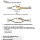 Proteinbiosynthese - ein Lernparcours (Einzellizenz) 93 MB