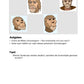 Evolution des Menschen: Jahrgang 7 - 10 (123 MB)