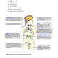 Hormonsystem Jahrgang 7 bis 10 (24 MB)