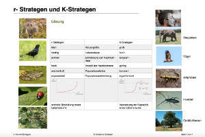 Populationswachstum (Einzelliznez) - 67,7 MB