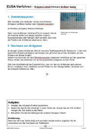 Enzyme - Proteine in Aktion - komplett (Einzellizenz)
