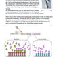 Enzyme - Proteine in Aktion - komplett (Einzellizenz)