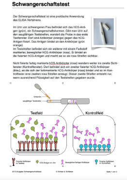 Enzyme - Proteine in Aktion - komplett (Einzellizenz)