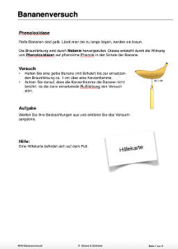 Enzyme - Proteine in Aktion - komplett (Einzellizenz)