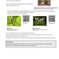 Evolution - komplett: Jahrgang 7 - 10 (600 MB)